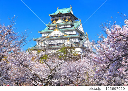 【大阪府】満開の桜と大阪城 【大阪府】満開の桜と大阪城 123607020