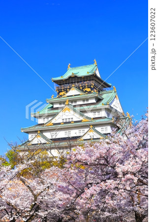 【大阪府】満開の桜と大阪城 123607022