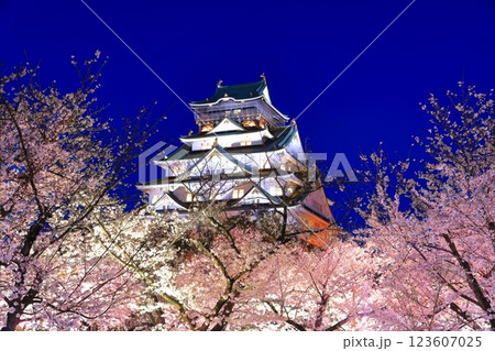 【大阪府】満開の夜桜と大阪城 123607025