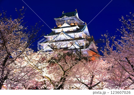 【大阪府】満開の夜桜と大阪城 123607026