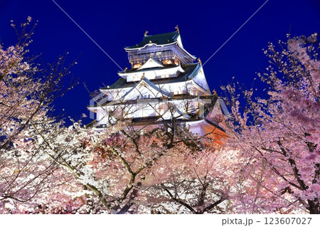 【大阪府】満開の夜桜と大阪城 123607027
