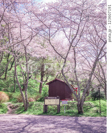 栃木県那須町 芦野御殿山・春の風景 栃木県那須町 芦野御殿山・春の風景 123607191
