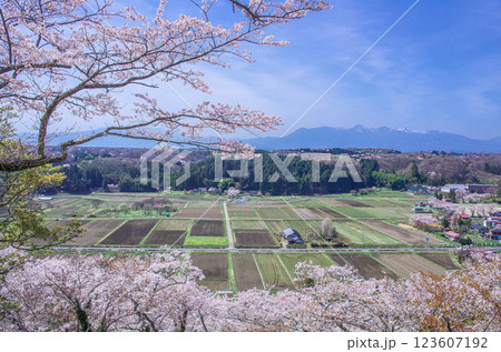 栃木県那須町 芦野御殿山・春の風景 栃木県那須町 芦野御殿山・春の風景 123607192