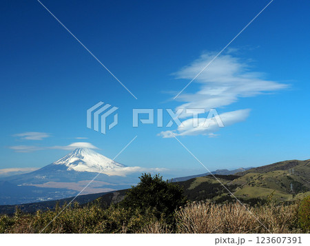 静岡県・十国峠から望む富士山 123607391