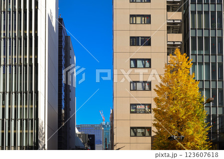 Modern Urban Architecture Featuring Office Building, Japan Dec 10 2024 123607618