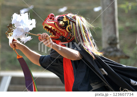 獅子舞 神戸市無形文化遺産 南僧尾の神楽獅子 獅子舞 神戸市無形文化遺産 南僧尾の神楽獅子 123607734