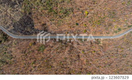 Asphalt road in the middle of the forest, Road through the forest car drive on the road between forest, Ecosystem ecology environment, Aerial view. 123607829