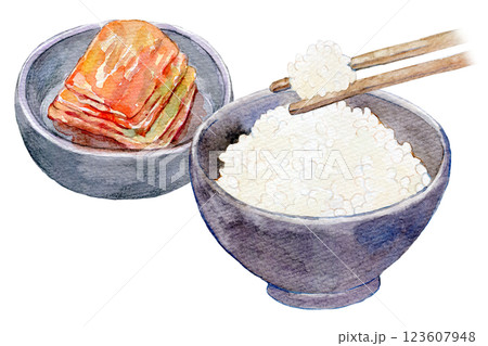 水彩イラスト　白いご飯とキムチのセット 123607948