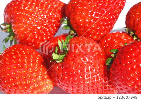 いちご(とちあいか) いちご(とちあいか) 123607949
