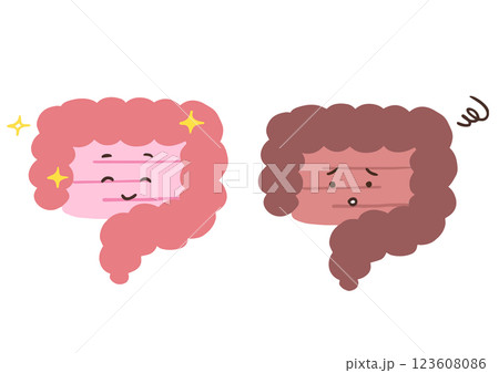 元気な腸と調子が悪い腸　腸内環境についてのイラスト 123608086