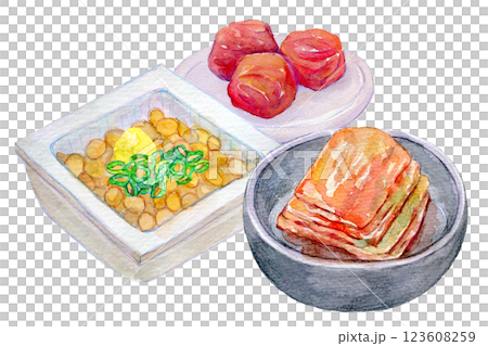 水彩イラスト　発酵食品のセット　キムチや納豆 123608259