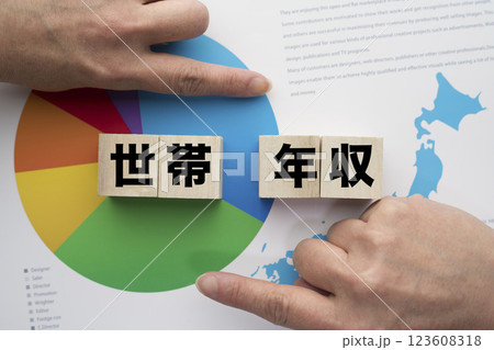 世帯年収 123608318