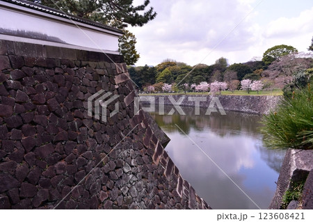 皇居　風景 123608421