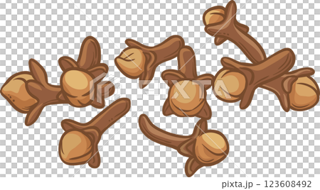 Clove Seeds Colored Detailed Illustration 123608492