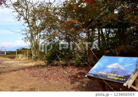 伊豆市　修善寺自然公園の富士見台 123608503