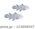 古代魚シーラカンス 123608507