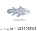 シーラカンス 123608508