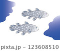 生きた化石シーラカンス 123608510
