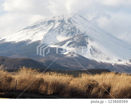 裾野市から臨む真冬の富士山 123608569