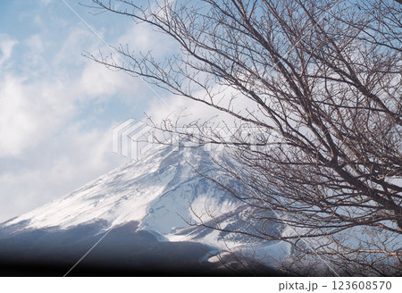 裾野市から臨む真冬の富士山 裾野市から臨む真冬の富士山 123608570