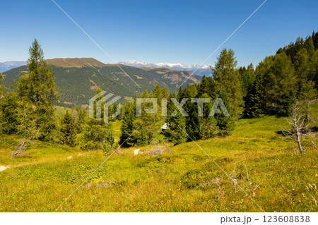 Amazing views of the picturesque high Dolomites mountains, lawns and forest Amazing views of the picturesque high Dolomites mountains, lawns and forest 123608838
