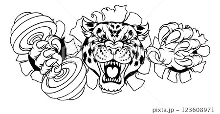 Jaguar Leopard Cheetah Weight Lifting Gym Mascot Jaguar Leopard Cheetah Weight Lifting Gym Mascot 123608971
