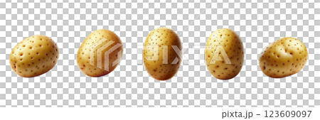 Fresh potatoes of varying sizes are arranged in a line against a simple background, highlighting their distinct textures and shapes under even lighting 123609097