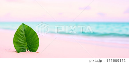Lush Leaf Upright in Pastel Beach Setting 123609151