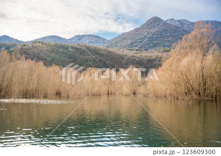 Trees and reeds on River Crnojevica, place near Lake Skadar in Montenegro surrounded by mountain peaks in winter time Trees and reeds on River Crnojevica, place near Lake Skadar in Montenegro surrounded by mountain peaks in winter time 123609300