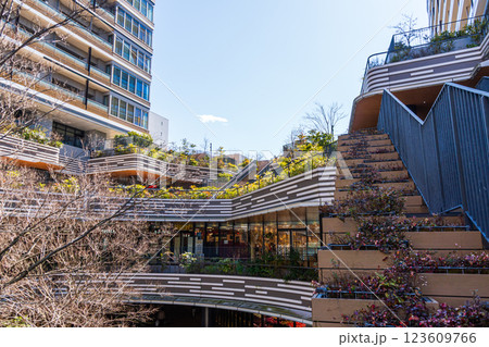 東京都 SOCOLA武蔵小金井 武蔵小金井駅南口 東京都 SOCOLA武蔵小金井 武蔵小金井駅南口 123609766