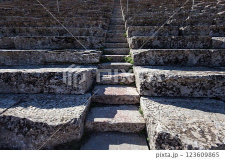 Theatre of Epidaurus, Peloponnese, Greece 123609865