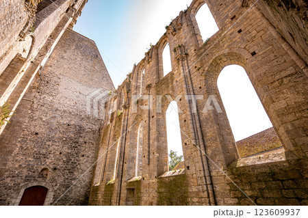 Basilica of Saint Mathurin, Larchant, seine-et-marne, France 123609937