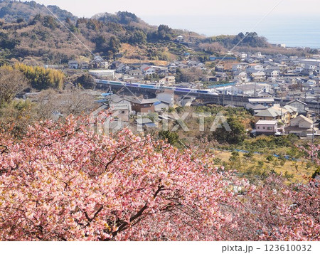 静岡県　由比八千代桜とディズニー新幹線　2月 123610032