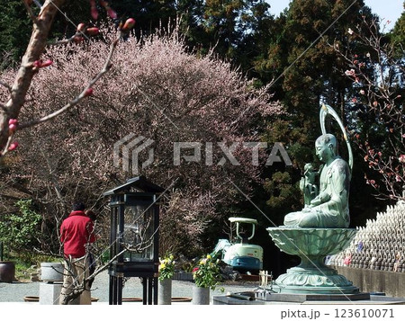 鎮国寺から見た宗像の田園 123610071