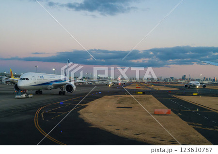 混雑する早朝の空港 混雑する早朝の空港 123610787