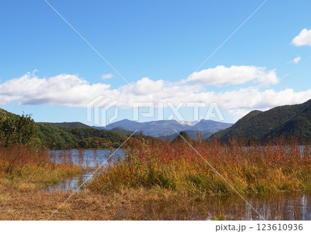 秋の裏磐梯、秋元湖。湖畔の草紅葉と安達太良山とのコラボレーションが青空に印象的で綺麗だ。 123610936