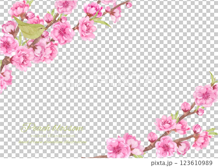 水彩で描いた桃の花の枝とうぐいすのベクターフレーム 123610989