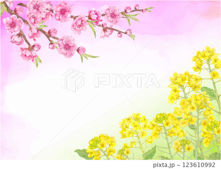 水彩で描いた桃の花と菜の花のベクターイラスト 123610992