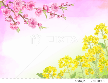 水彩で描いた桃の花と菜の花のベクターイラスト 123610992