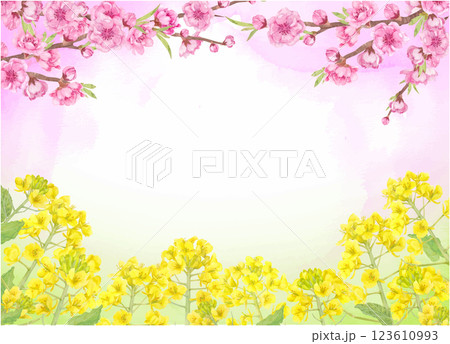 水彩で描いた桃の花と菜の花のベクターイラスト 123610993