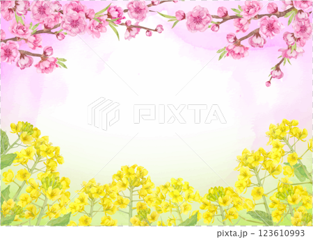 水彩で描いた桃の花と菜の花のベクターイラスト 123610993