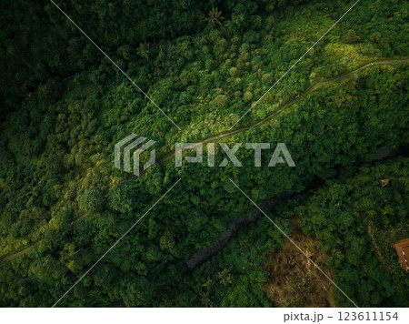 Aerial view of artist trail in Ubud, Bali 123611154