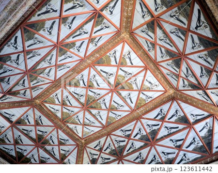 「カササギの間」の天井　（ポルトガル、シントラ宮殿） 123611442