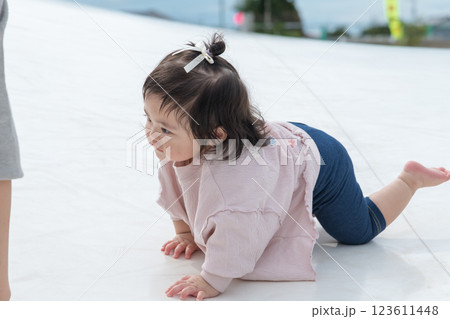 【巨大な遊具ではいはいする乳幼児とママ】 【巨大な遊具ではいはいする乳幼児とママ】 123611448
