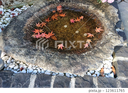 石の水鉢、彩る紅葉 石の水鉢、彩る紅葉 123611765