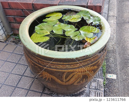 路傍の水瓶 路傍の水瓶 123611766