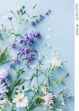 Vibrant spring flower arrangement on light blue background with copy space 123611793