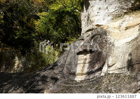 岸壁に顔だけが残った岩面大仏（顔面大仏） 123611887