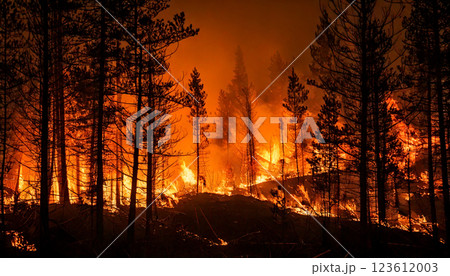 山火事,森林火災,Generative AI,AI画像 123612003