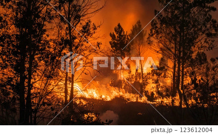 山火事,森林火災,Generative AI,AI画像 山火事,森林火災,Generative AI,AI画像 123612004